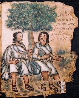 foja 55 del codice de Zictepec