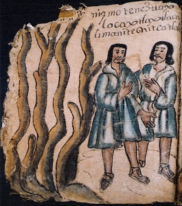 foja 7 del codice de Zictepec
