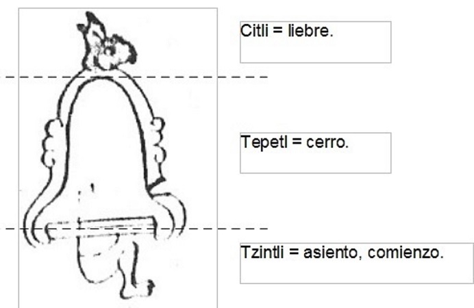 glifo1