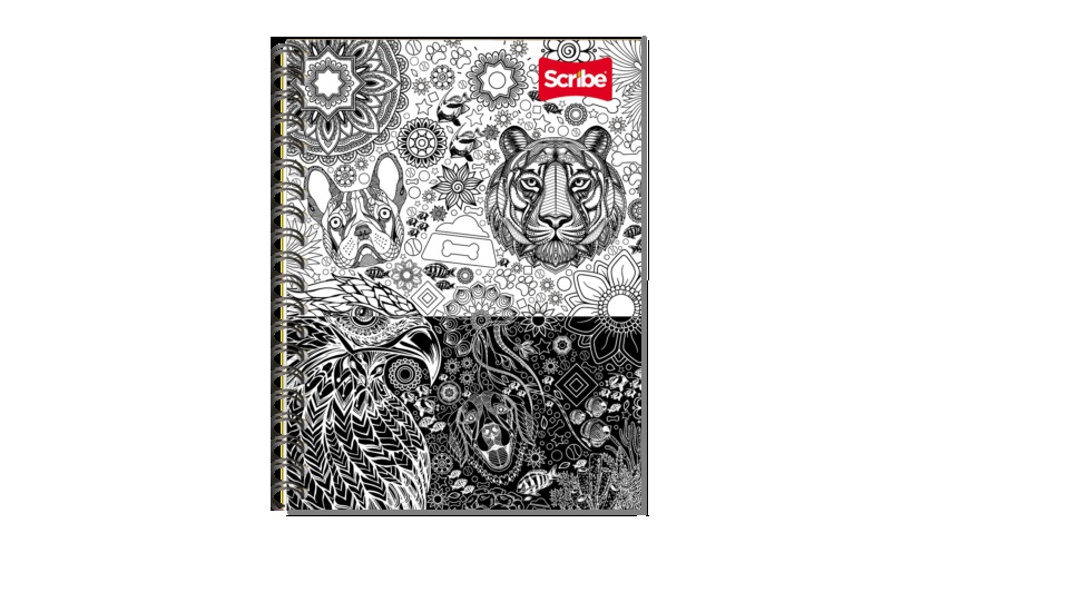 Cuaderno Scribe