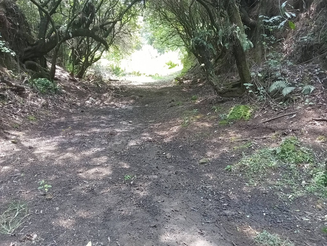 sendero
